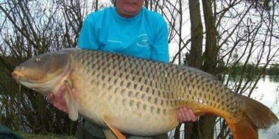 World common carp record 101lb 8oz Premier Bait.jpg